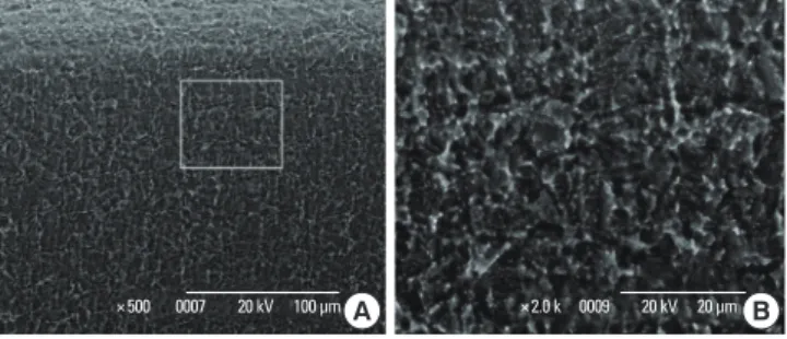 Figure 3.  Control specimen: double acid-etched implant surface  without any conditioning