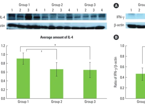 Figure 2.  (A) Interferon (IFN)-g western blot analysis showing 4 rep- rep-resentative samples in each group