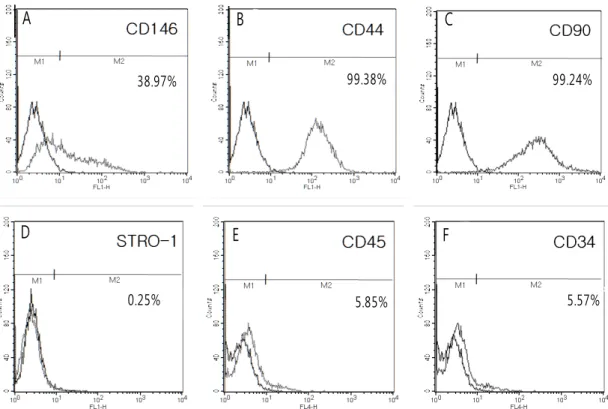 Figure 5. Flow cytometric analysis of PDLSC(A) 12.96%of PDLSC were positive staining for CD146 (B)  99.76% for CD44 (C) 99.40% for CD90 (D) 0.25% for STRO-1 (E) 5.85% for CD45 (F) 5.57% for CD34.