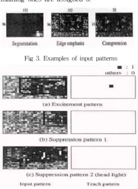 Fig 3. Examples of input patterns