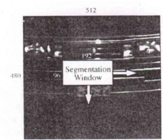 Fig 9. Examples of input imagesFig. 8. Scanning of the cutout window
