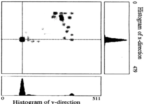 Fig 17. The size of Gaussian window and detection rate.