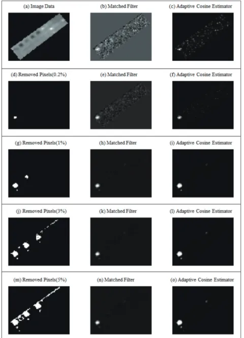 Fig. 2.  Results of detecting grass target using Matched Filter and Adaptive Cosine Estimator with the exclusion of candidate target pixels(0.2%, 1%, 3%, 5%).