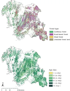 Fig. 4.  1:5,000 forest type map(top: forest type, bottom: age class).