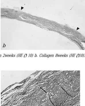 Figure 6. Histological section of BMP-2/PTDweeks with no new bone formation. a. Overall view underFigure 5