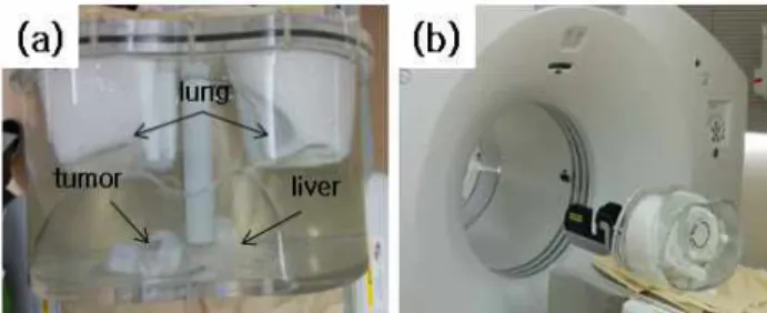 Fig.  1.  Imaging  of  tumor  model  in  torso  phantom  (a)  The  torso  phantom  was  composed  of  body-shaped  cylinder  lung,  liver,  and  mimic  the  tumor