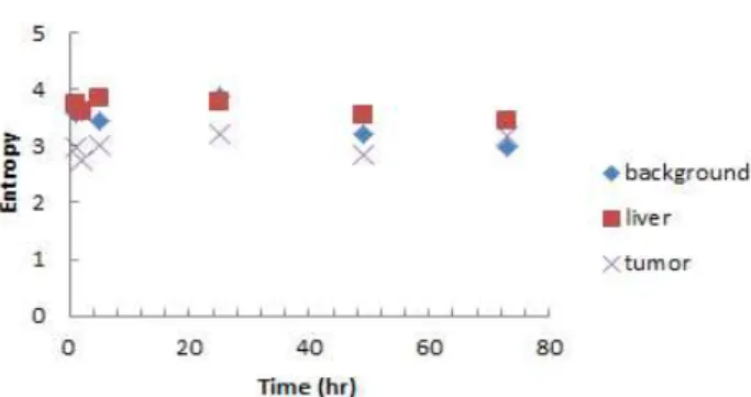 Fig.  4.  CGITA  texture  analysis  graph  in  liver,  tumor  and  background.  Calculated  entropy  of  torso  phantom  with  the 