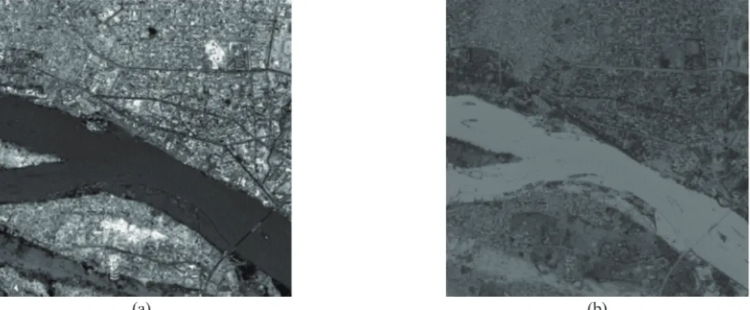 Fig. 1.  The NDWI image created using a green band and a NIR band of Kompsat-2 image (a) the Kompsat-2 panchromatic image (b) the NDWI image.