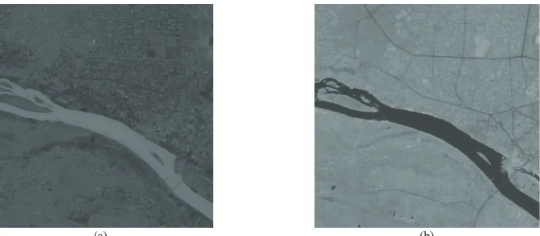 Fig. 3.  The NDWI and NIR images (a) the NDWI image (b) the NIR image.