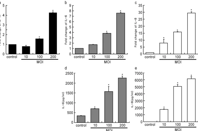 Figure 3. The effect of T. forsythia membrane proteins on expression of cytokines HGFs were treated with membrane fraction extracted from T