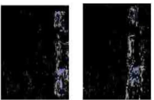 Fig 5. Output image (normalized)