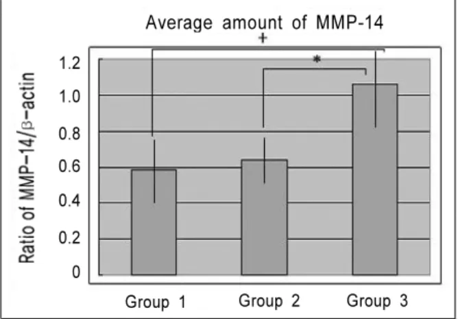 Figure 2B. Graphics showing the average amounts (Ratio of MT-MMP-1(MMP-14)/β-actin)  and standard deviation of MT-MMP-1 in group 1, 2 and 3