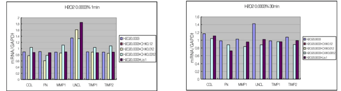 Figure 8. Effect of H 2 O 2  3×10 -5 % with or without CHX on mRNA expressions.