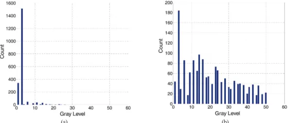 Fig. 2.  Histograms of water body and non-water body areas marked with the white rectangles in Fig