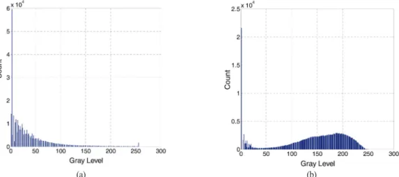 Fig. 4.  (a) The original test Kompsat-5 image (b) the normalized entropy image.