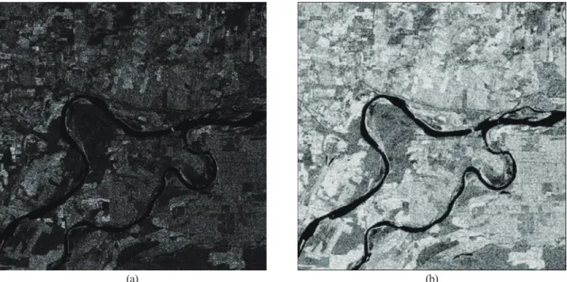 Fig. 8.  (a) The original test Kompsat-5 image over Ranjanpur District in Pakistan (b) the normalized entropy image created from GLCM.