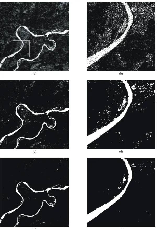 Fig. 11.  Results of water body extraction by using (a) the original image (c) the entropy image (e) the WBTI image