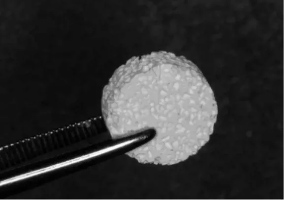 Figure 1. Block type MBCP implant used in this study.