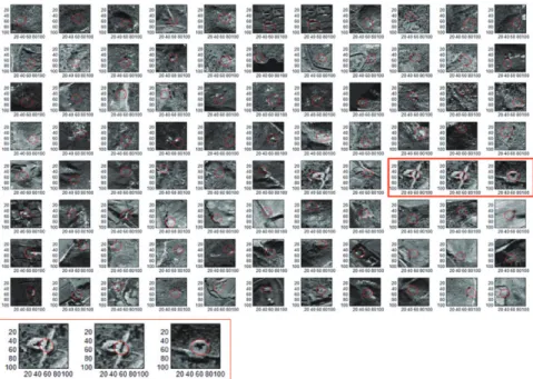 Fig. 15.  The detected 88 ellipses using WorldView-2 image, including true targets marked by red box.