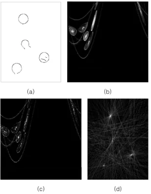 Fig.  4.  (a)  Edges  of  an  image  (b)  Parameter  histogram  built  in  (,)  space