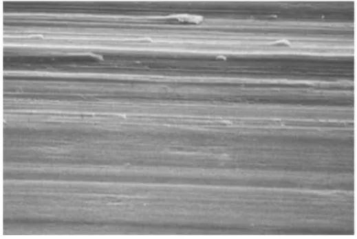 Figure  4.  Test  specimen.  Pure  titanium  ma- ma-chined  surface  conditioned  with  50mg/ml   tet-racycline-HCl  for  1½min(×2,000)