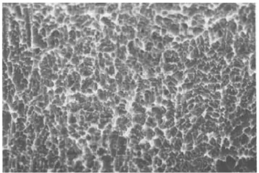 Figure  16.  Test  specimen.  Eched  surface  con- con-ditioned  with  50mg/ml  tetracycline-HCl  for  1½min(×2,000)