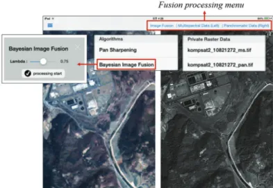 Fig. 3.  User interface of iPad2 mobile application for image fusion: main menu and selection of data and fusion processing mode.