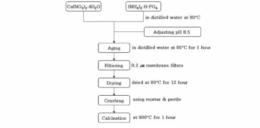 Figure  1.  Flow  chart  of  chemically  precipitated  BCP  preparation  procedure과에서  성공적인  골이식  대체재로  사용되고  있다19,20)
