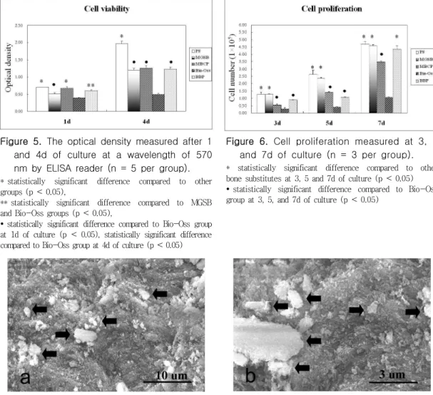 Figure  6.  Cell  proliferation  measured  at  3,  5  and  7d  of  culture  (n  =  3  per  group).