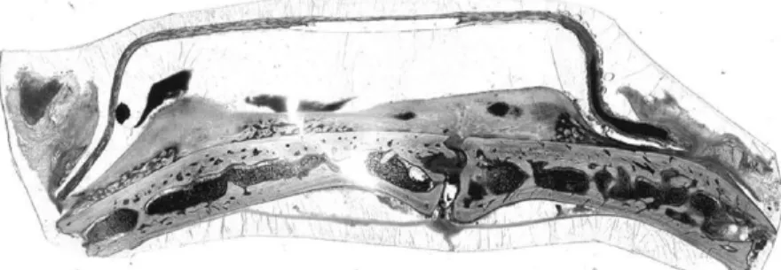 Figure  2. Figure  2a.