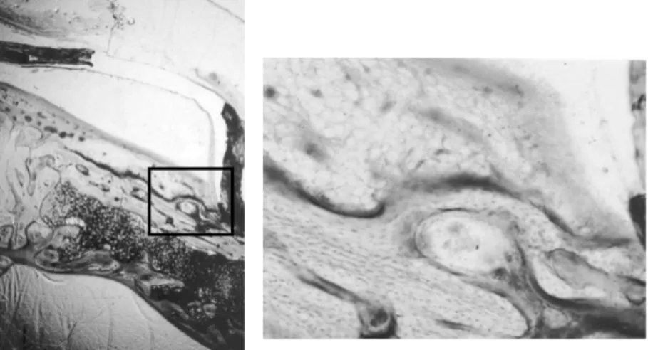 Figure  4. Figure  4a.