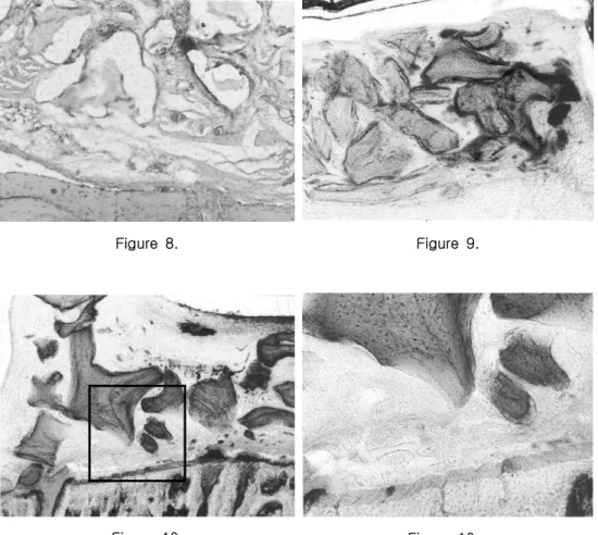 Figure  10. Figure  10a.