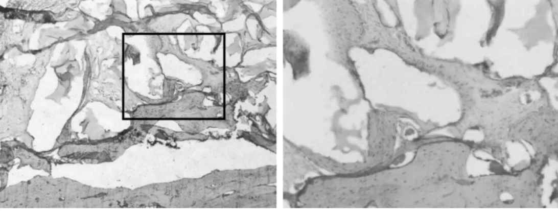 Figure  12. Figure  12a.