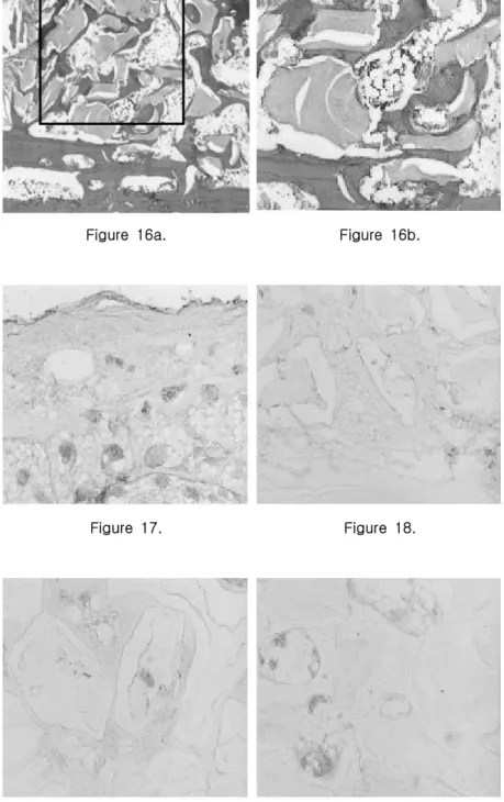 Figure  17. Figure  18.