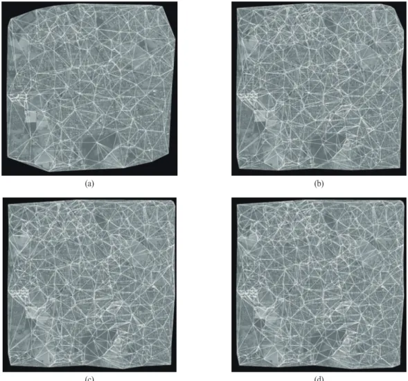 Fig. 4.  Checkerboard mosaicked image of the warped image in Fig.3(c) and reference image.