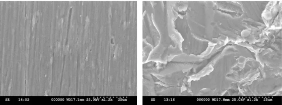 Figure  1.  SEM  images.  machined  surface(left),  blasted  surface(right).
