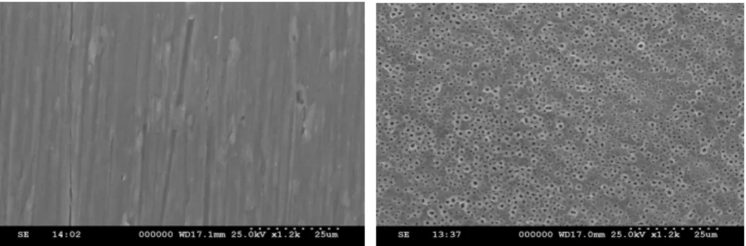 Figure  1.  SEM  pictures,  machined  surface(left),  magnesium  titanate  surface  at 