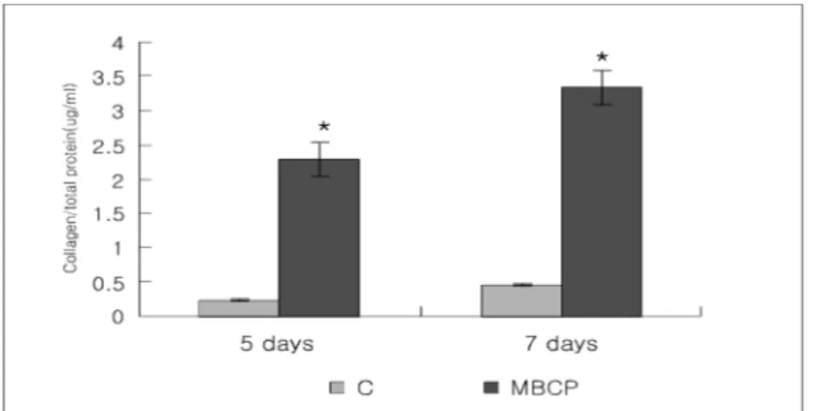 Figure  2.  Collagen  synthesis  of  adult  stem  cells  cultured  on  MBCP (Mean±  S.D.).