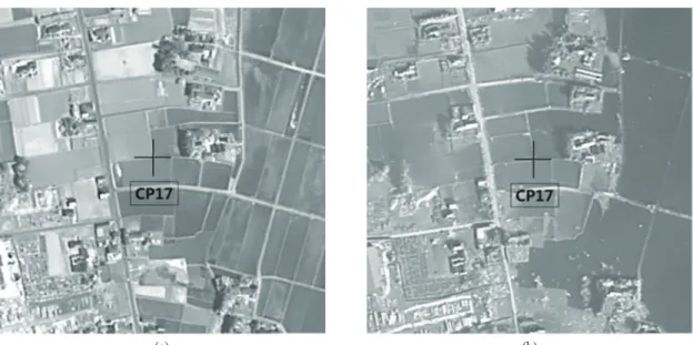 Fig. 7.  Control point CP17 (Case 2) (a) reference image (b) sensed image. (a) (b)