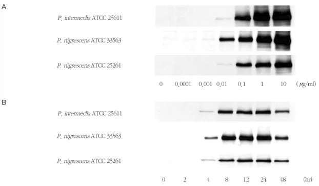 Figure 4. Dose  response  (A)  and  time  course  (B)  of  iNOS  protein  expression  in  RAW264.7  cells  stimulated with  LPS  isolated  from P