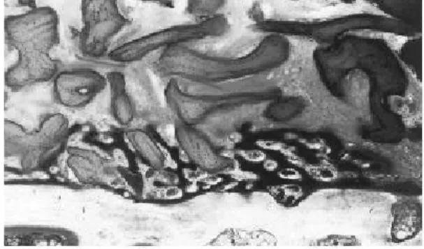 Figure 1b Figure 1c