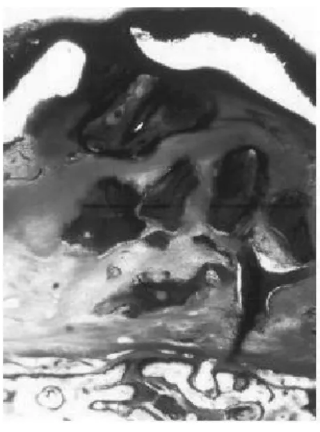 Figure 2a Figure 2b