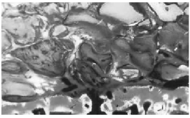 Figure 3b Figure 3c