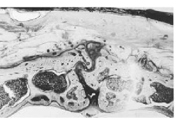 Figure 3cFigure 3b
