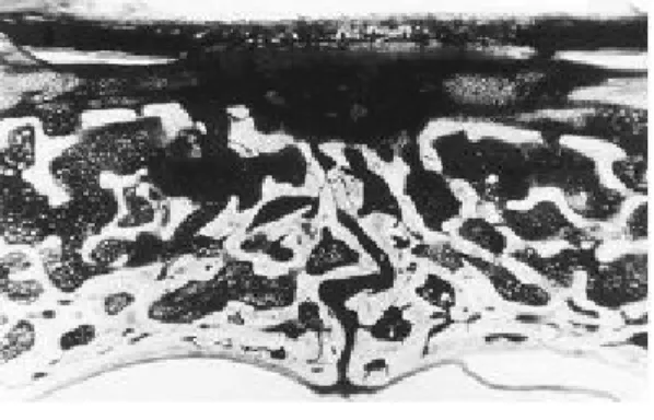 Figure 4cFigure 4b
