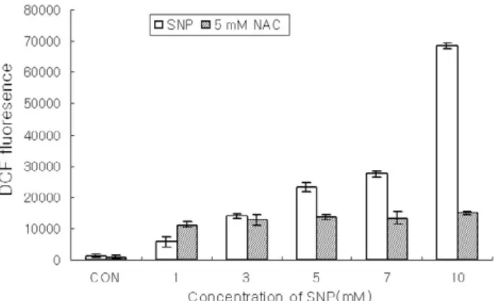 Figure 1. ROS production was enhanced in SNP-treated HGF cells. HGF cells loading DCF were incubated for 12 h with SNP alone or co-incubation with 5 mM N-acetyl-L-cysteine (NAC) for 1 h