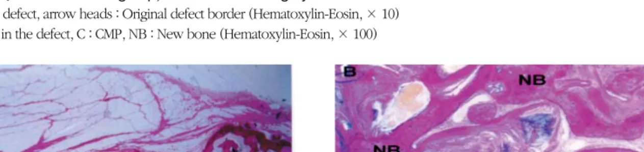 Figure 11. 10% Na 2 -CMP group, 12 weeks after surgery