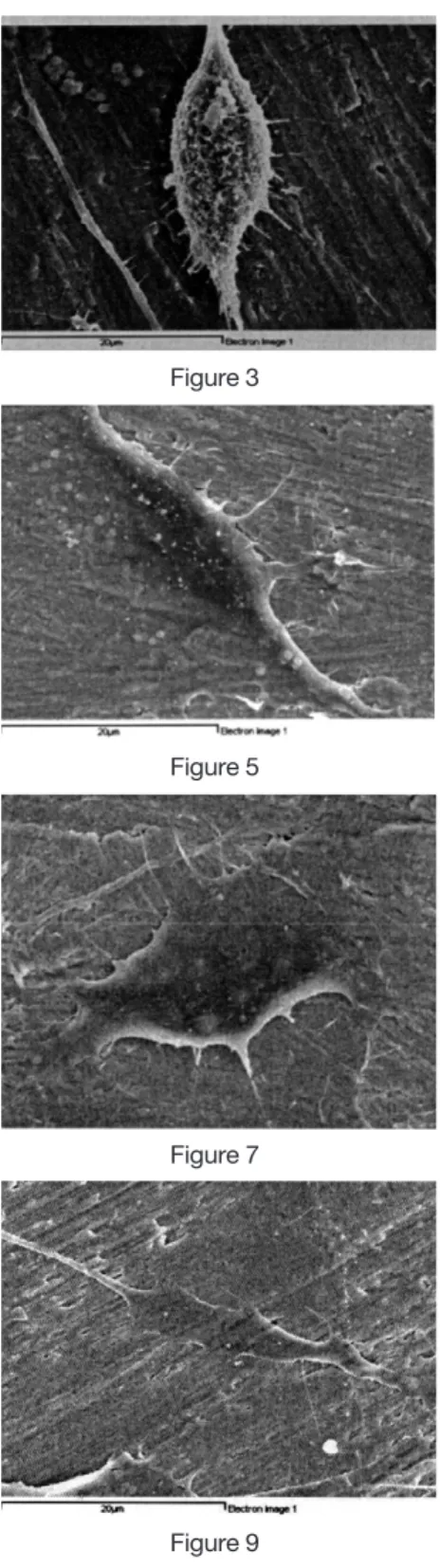 Figure 7 Figure 8
