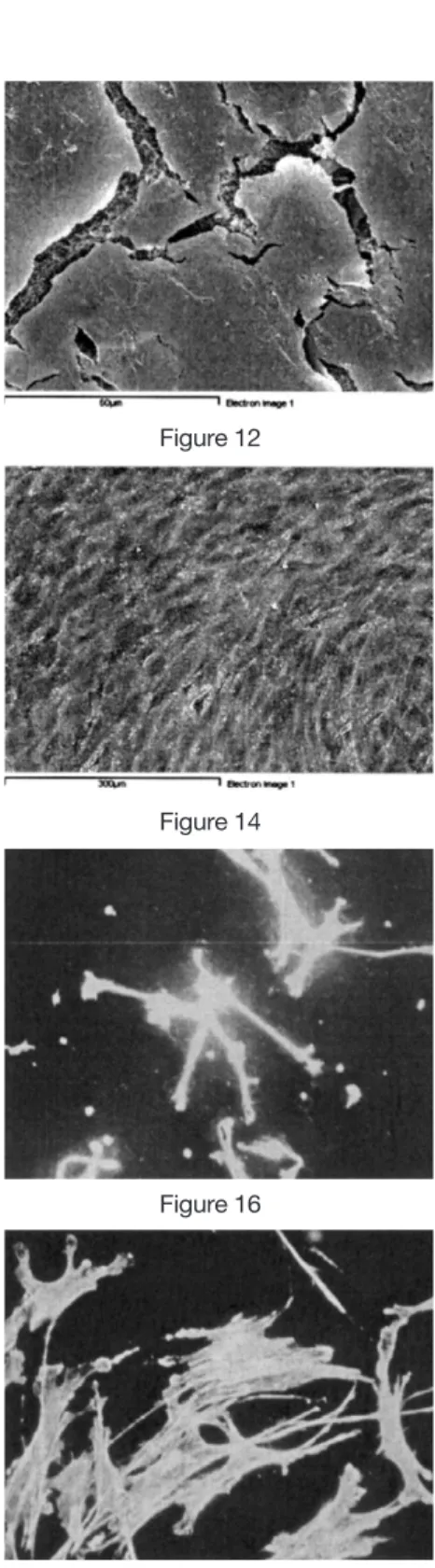 Figure 11 Figure 12