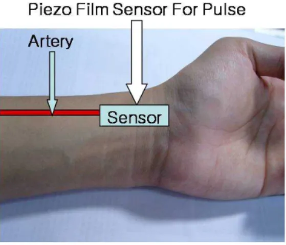 그림 2 PFS를 이용하여 획득한 펄스 신호 Figure 2. Pulse signal detection using the PFS